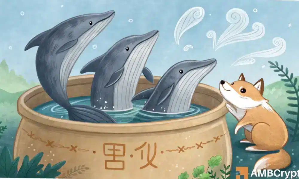 Shiba Inu鲸鱼再次活跃-对SHIB价格有何影响?